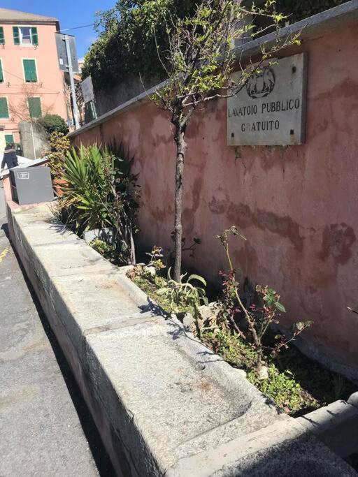 Pisi Home, 2 Min Dalla Spiaggia E Dall' Ospedale Gaslini Génova Exterior foto
